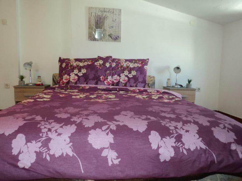 Studio Apartments Ana Rovinj Exterior photo